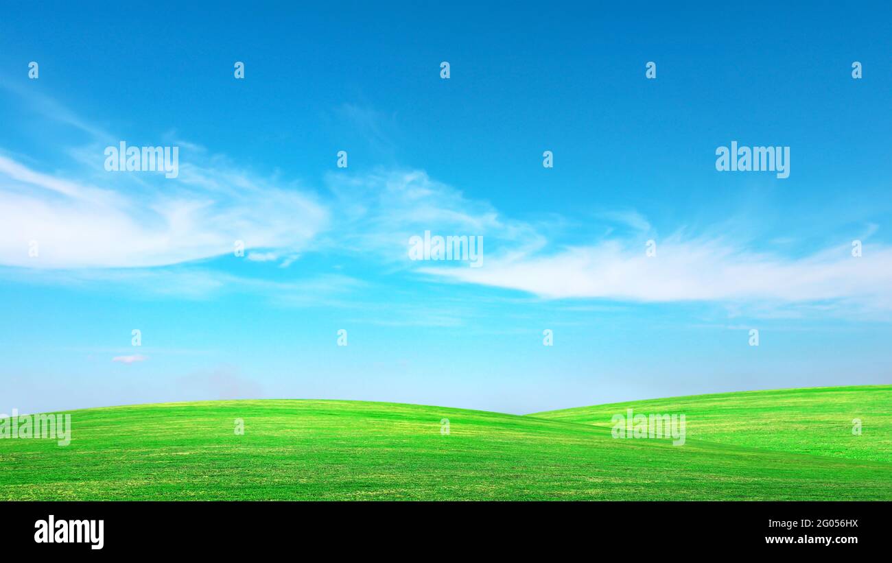 Green meadow with blue sky Summer meadow background concept on a nice day. Stock Photo
