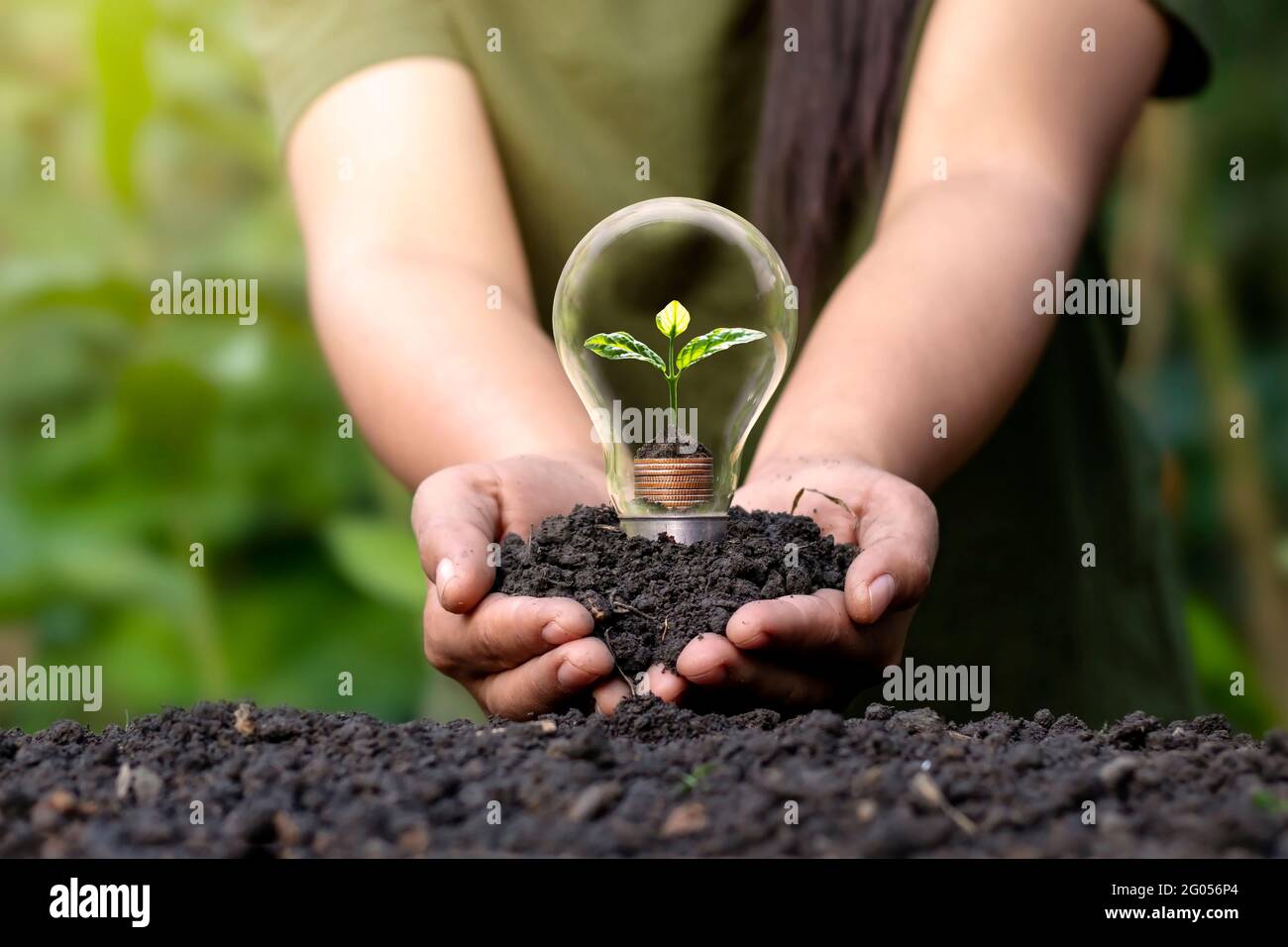 A small tree growing on a silver coin and energy-saving light bulbs, an energy-saving concept and an environmentally friendly clean energy. Stock Photo