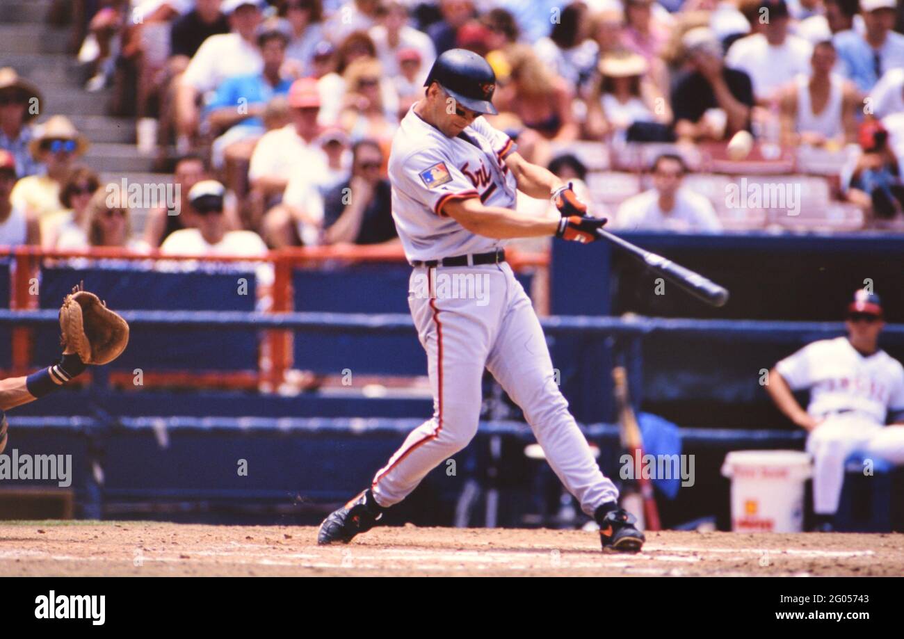 Baltimore Orioles baseball player Cal Ripken Jr. at bat -- Please credit  photographer Kirk Schlea Stock Photo - Alamy