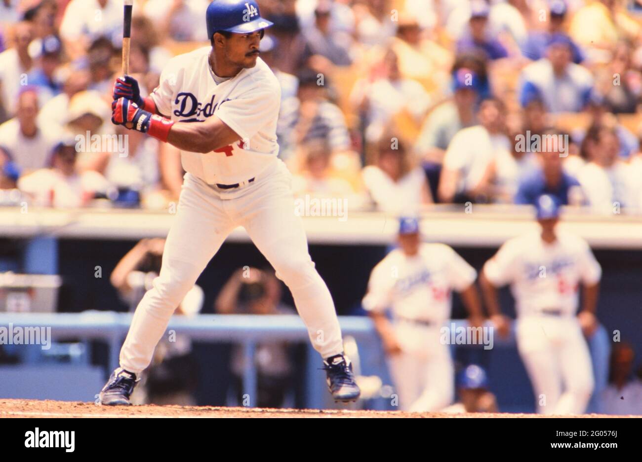 Los Angeles Dodgers baseball player Raul Mondesi -- Please credit photographer Kirk Schlea Stock Photo