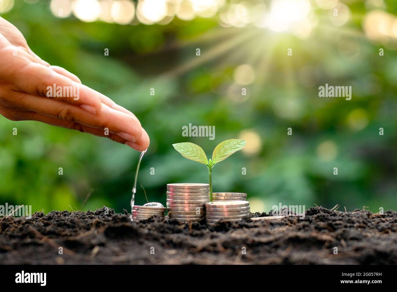 Cropping on the Pile for Business, Savings and Economic Growth. Stock Photo