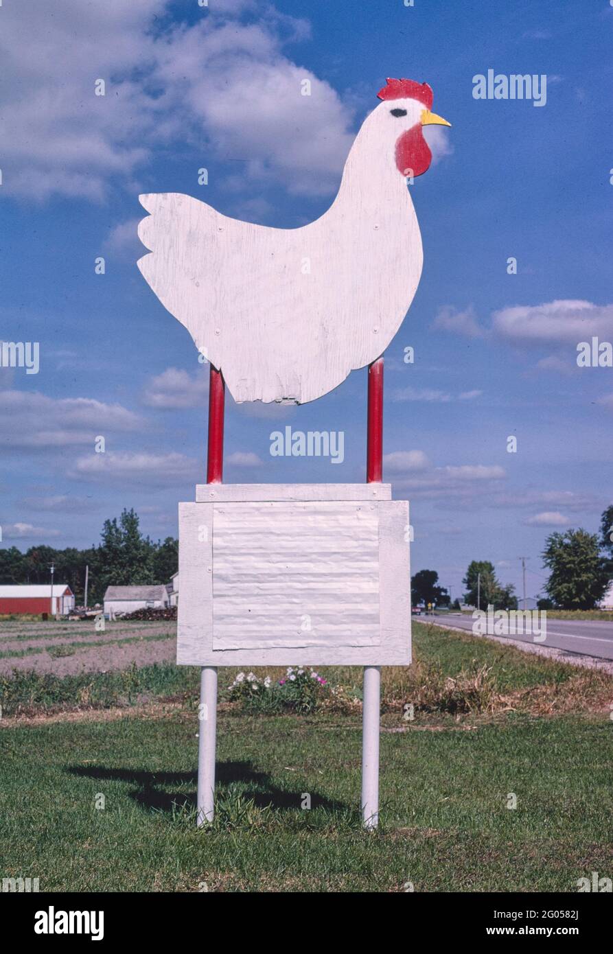 Jacoby and son chicken sign hi-res stock photography and images - Alamy