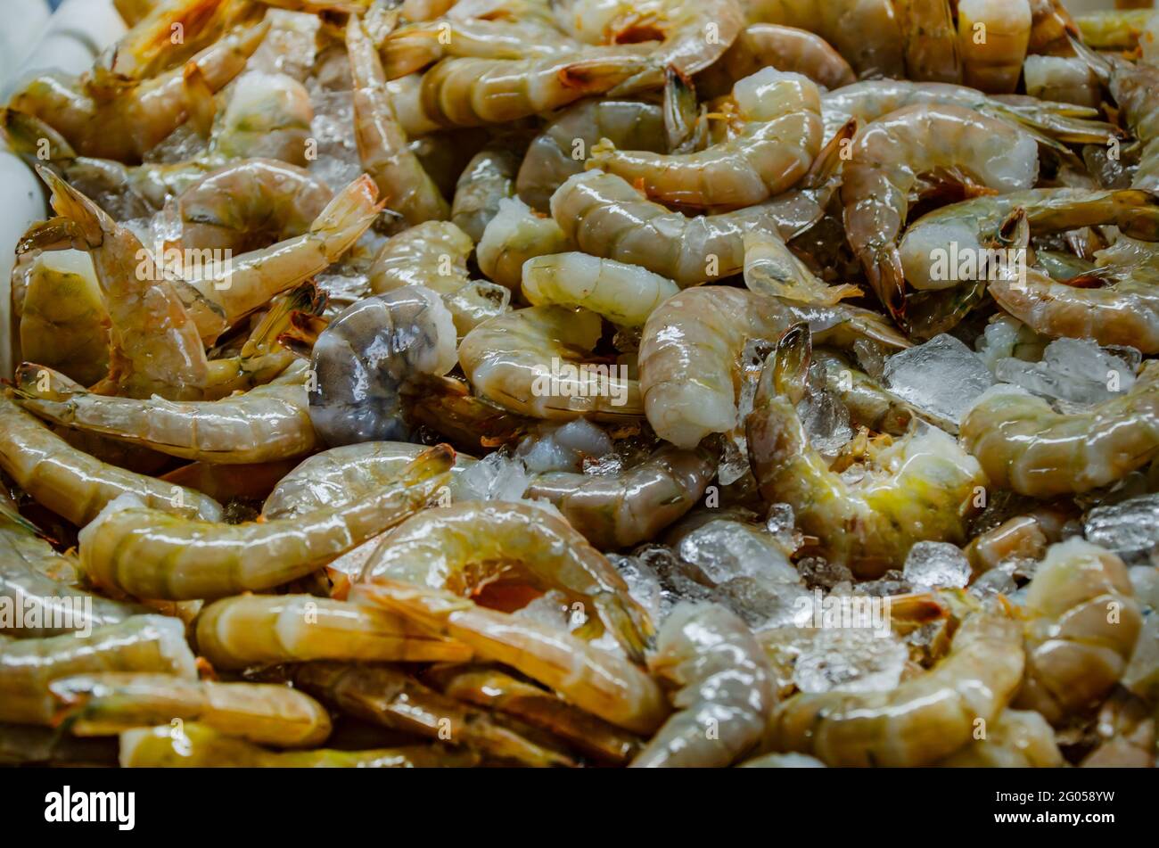 Brown shrimp are on ice at Billy’s Seafood on the Bon Secour River, May 27, 2021, in Bon Secour, Alabama. Stock Photo