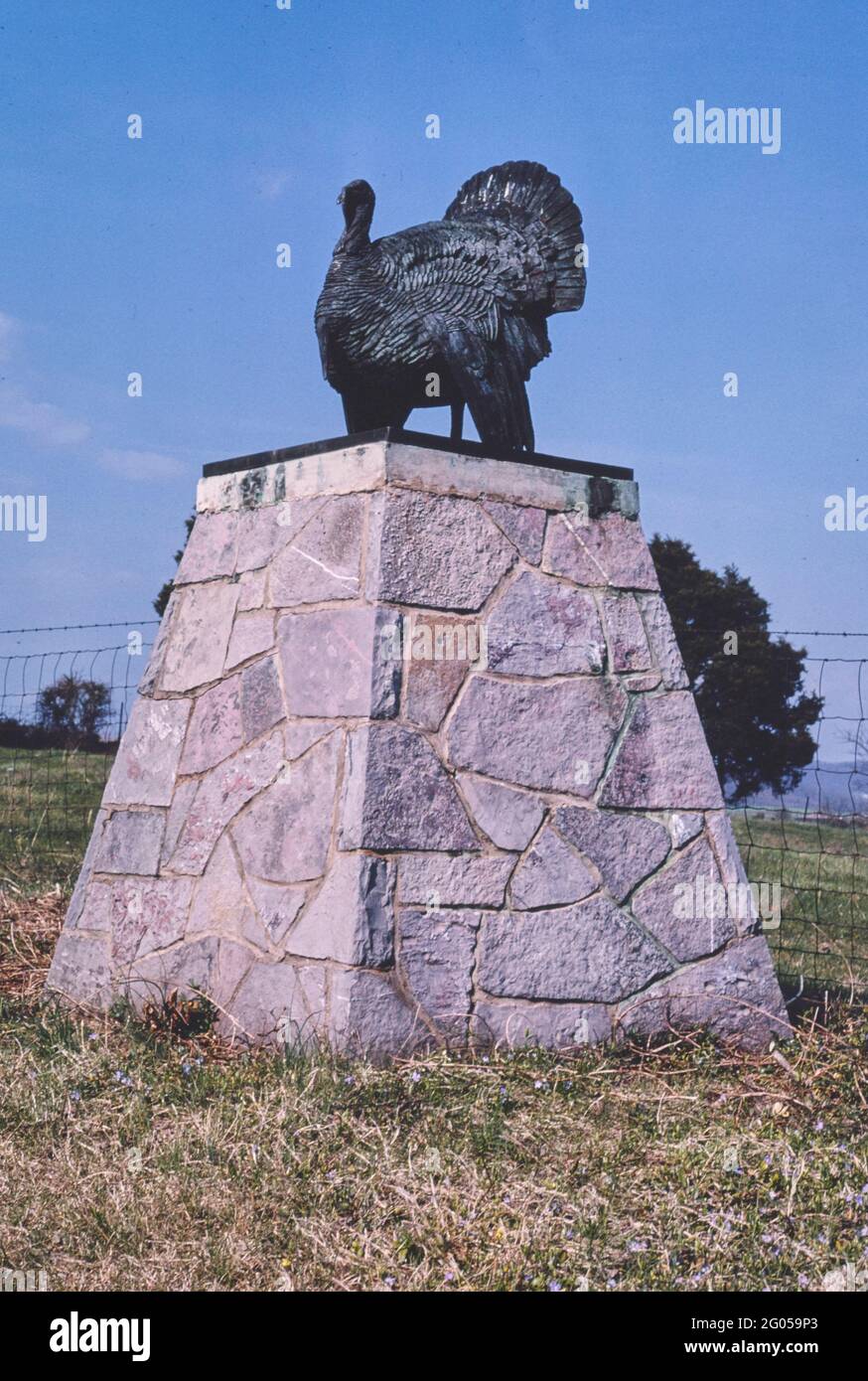 1980s America Turkey statue, Mount Crawford, Virginia 1982 Stock