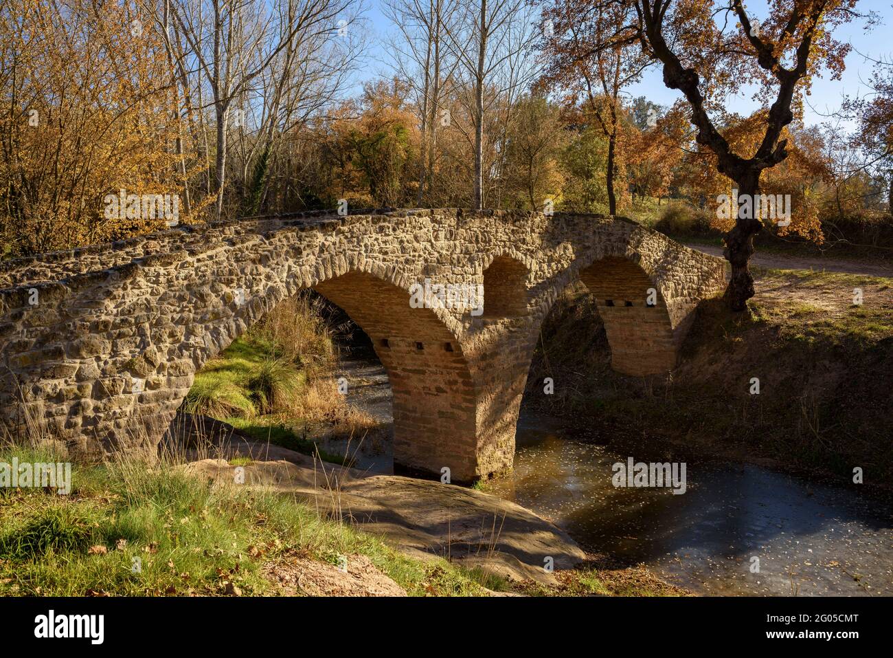 Romanesque bridge of Sant Martí d'Albars in autumn (Lluçanès, Osona, Catalonia, Spain) ESP: Puente románico de Sant Martí d'Albars en otoño (España) Stock Photo