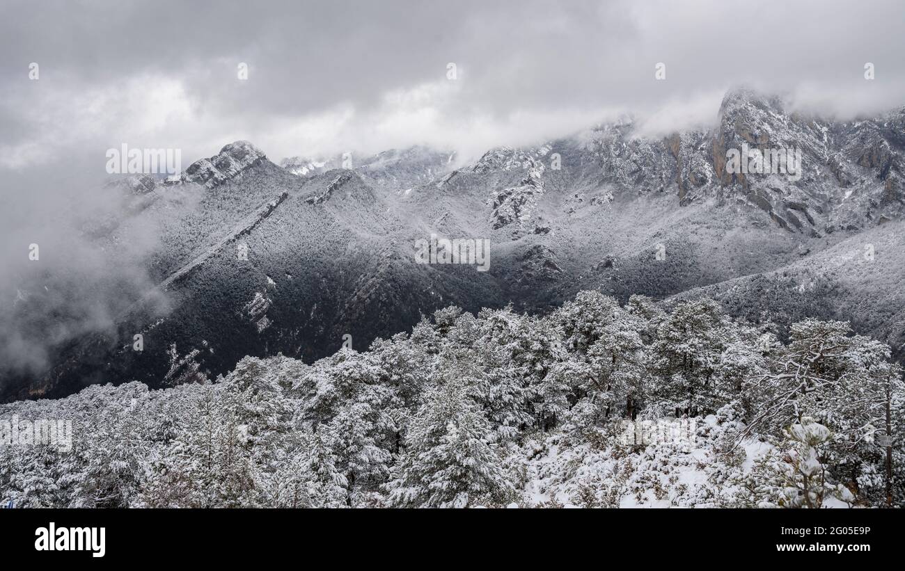 Alt Berguedà mountains seen from Coll de Pal during a winter snowfall (Cadí-Moixeró Natural Park, Catalonia, Spain, Pyrenees) Stock Photo