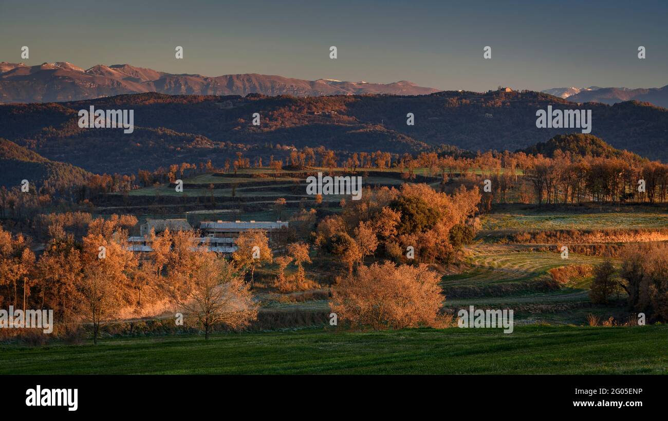 Autumnal sunrise in the Pla de Cal Simon, in Sant Bartomeu del Grau (Lluçanès, Osona, Catalonia, Spain) Stock Photo