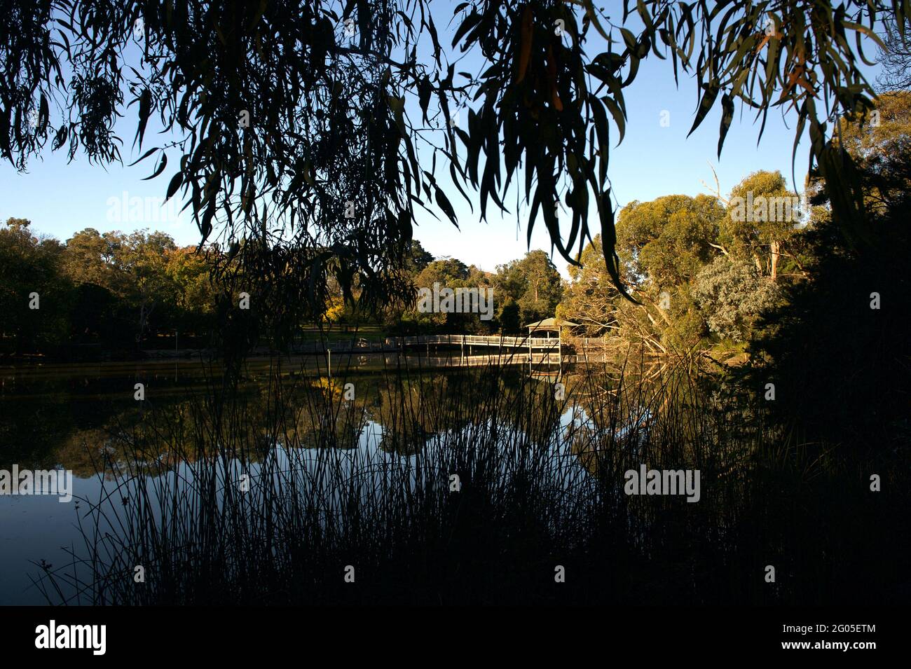The wooden bridge and shelter from across the water, in Autumn sun, at Ringwood Lake in the City of Maroondah in Victoria, Australia. Stock Photo