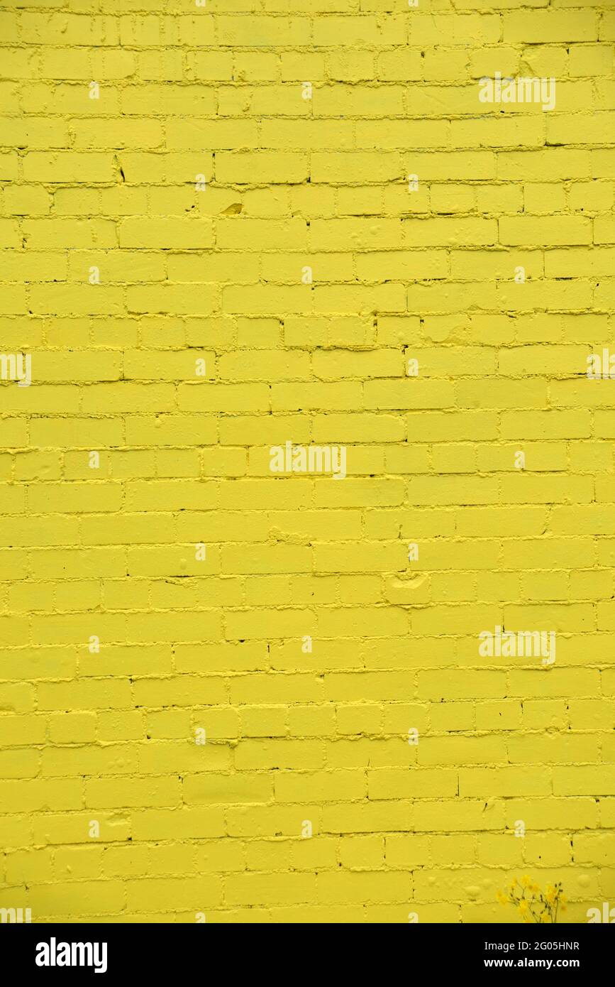 A new paint job on an old brick wall creates a colourful  textured background Stock Photo