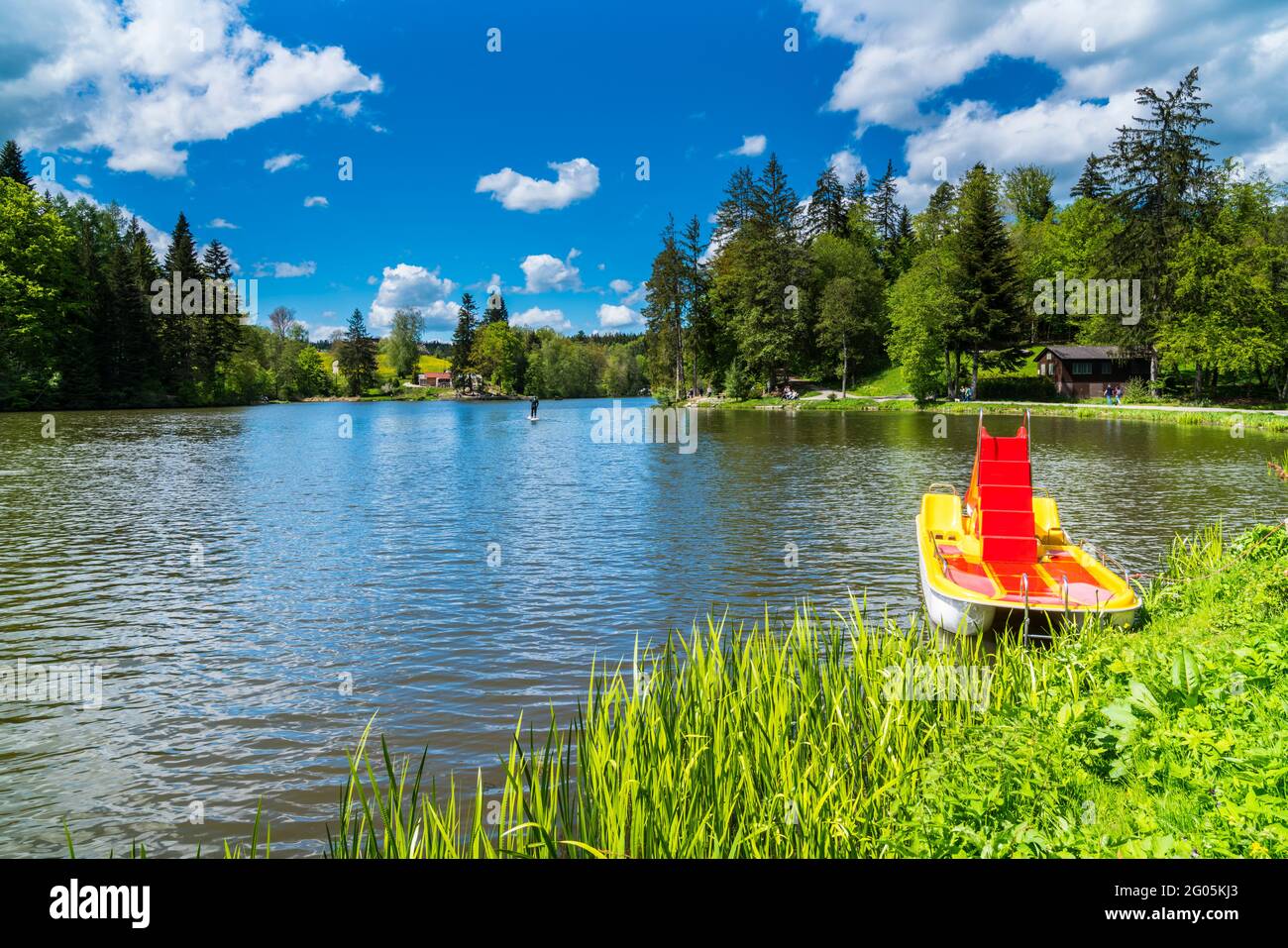 Germany, Colorful pedal boat on water surface of  beautiful ebnisee lake near kaisersbach surrounded by green trees of forest with sunshine in summer Stock Photo