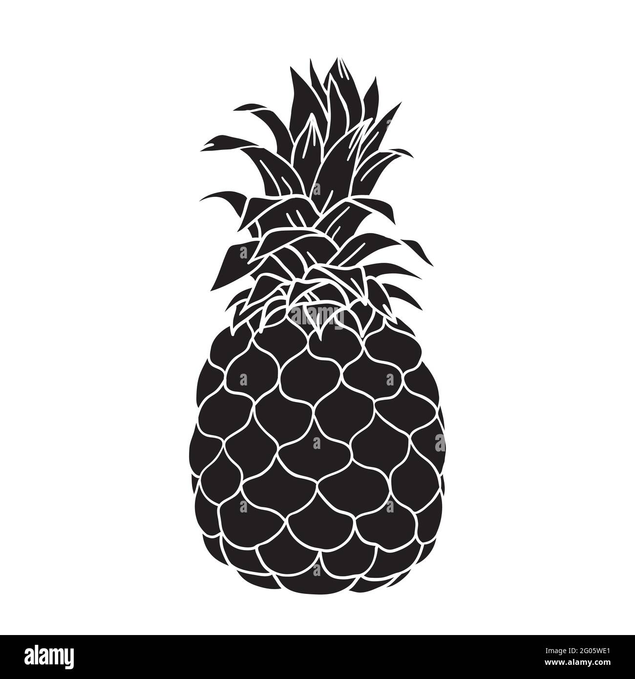 Pineapple vector illustration of pineapple tropical fruit, black and