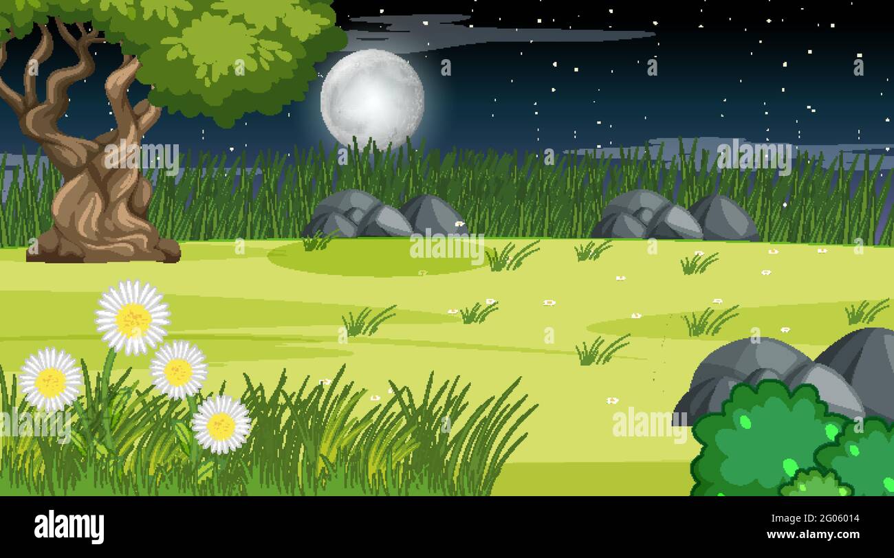 Nature forest landscape at night scene illustration Stock Vector Image ...