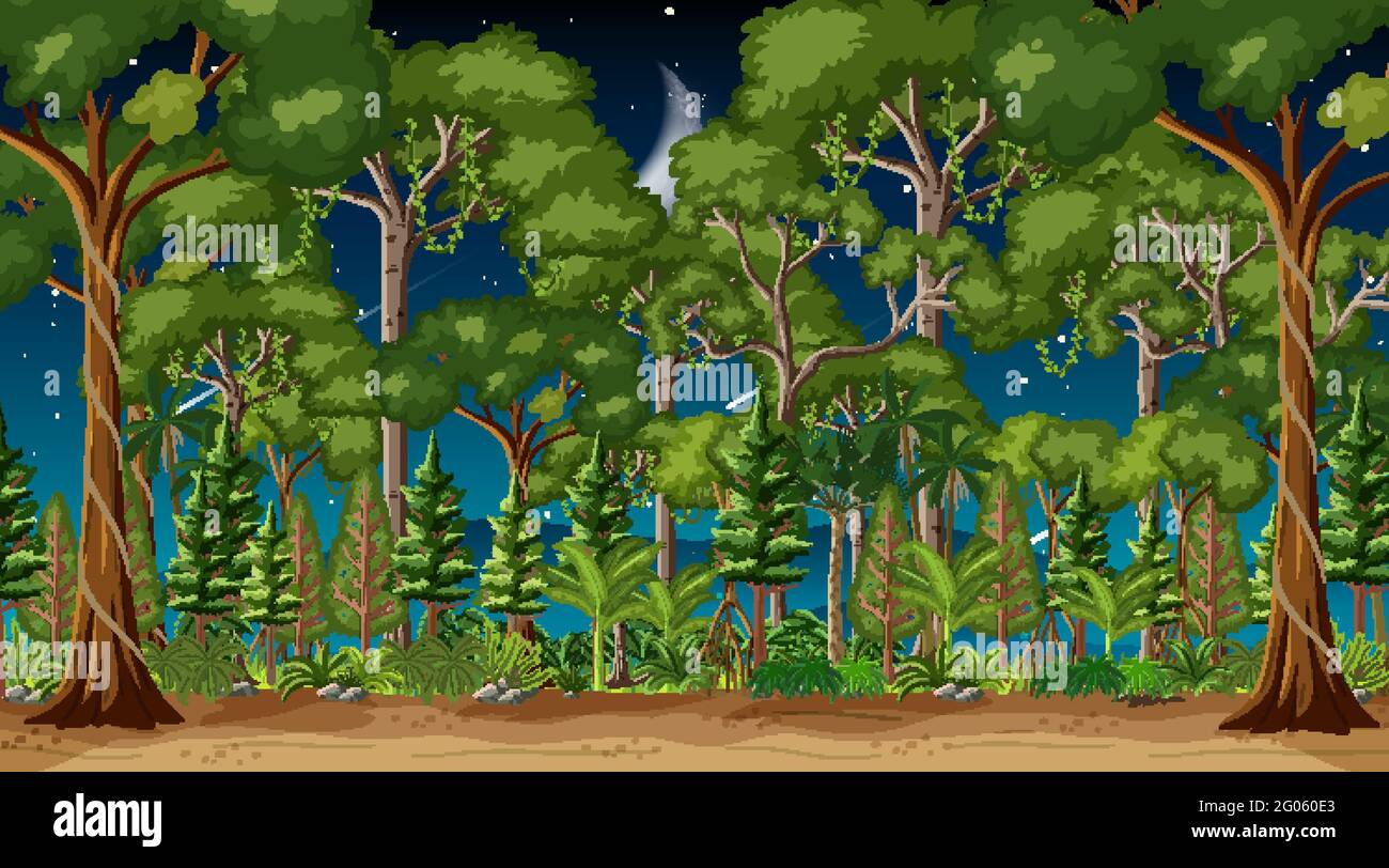 Forest landscape scene at night with many trees illustration Stock ...