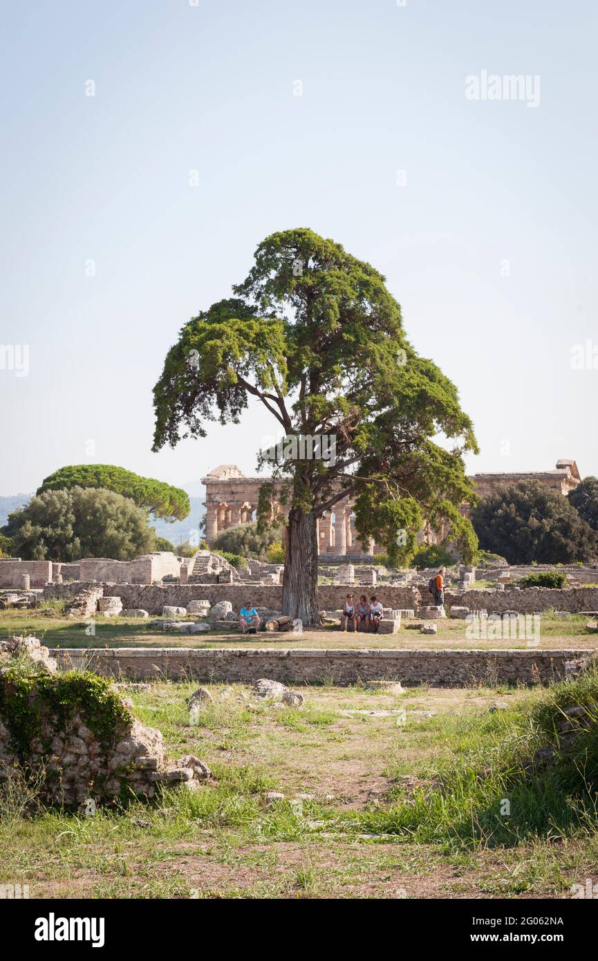 Temple of Hera, Paestum archaeological area, UNESCO; World Heritage Site, province of Salerno, Campania, Italy, Europe Stock Photo