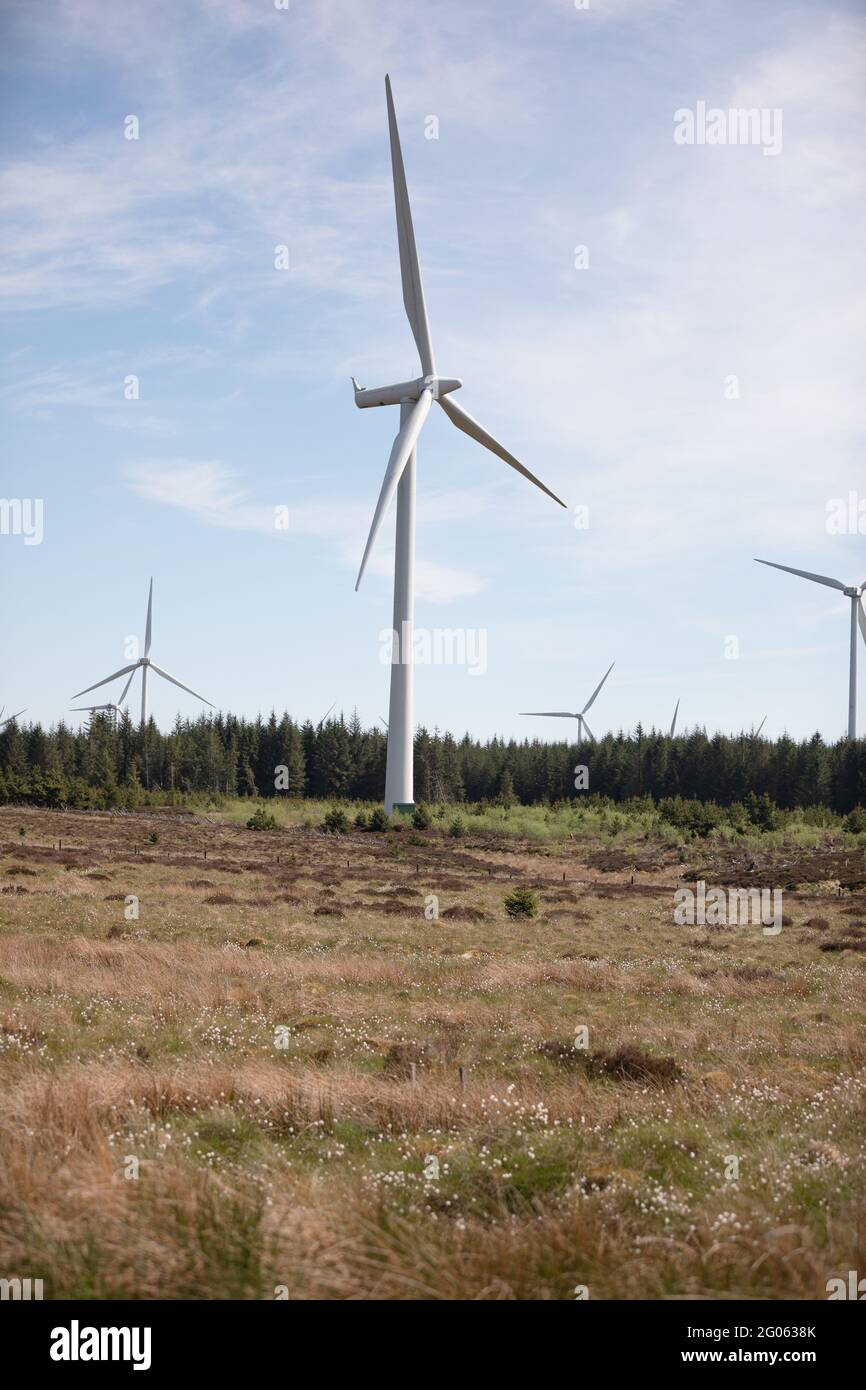 Whitelee Windfarm in East Renfrewshire, Scotland owned by Scottish Power Stock Photo