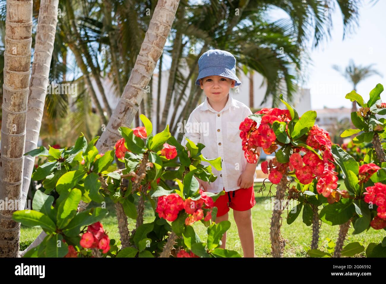 Little boy kid in park between palms and red flowers. Clear blue sky on background. Vacations and childhood concept Stock Photo