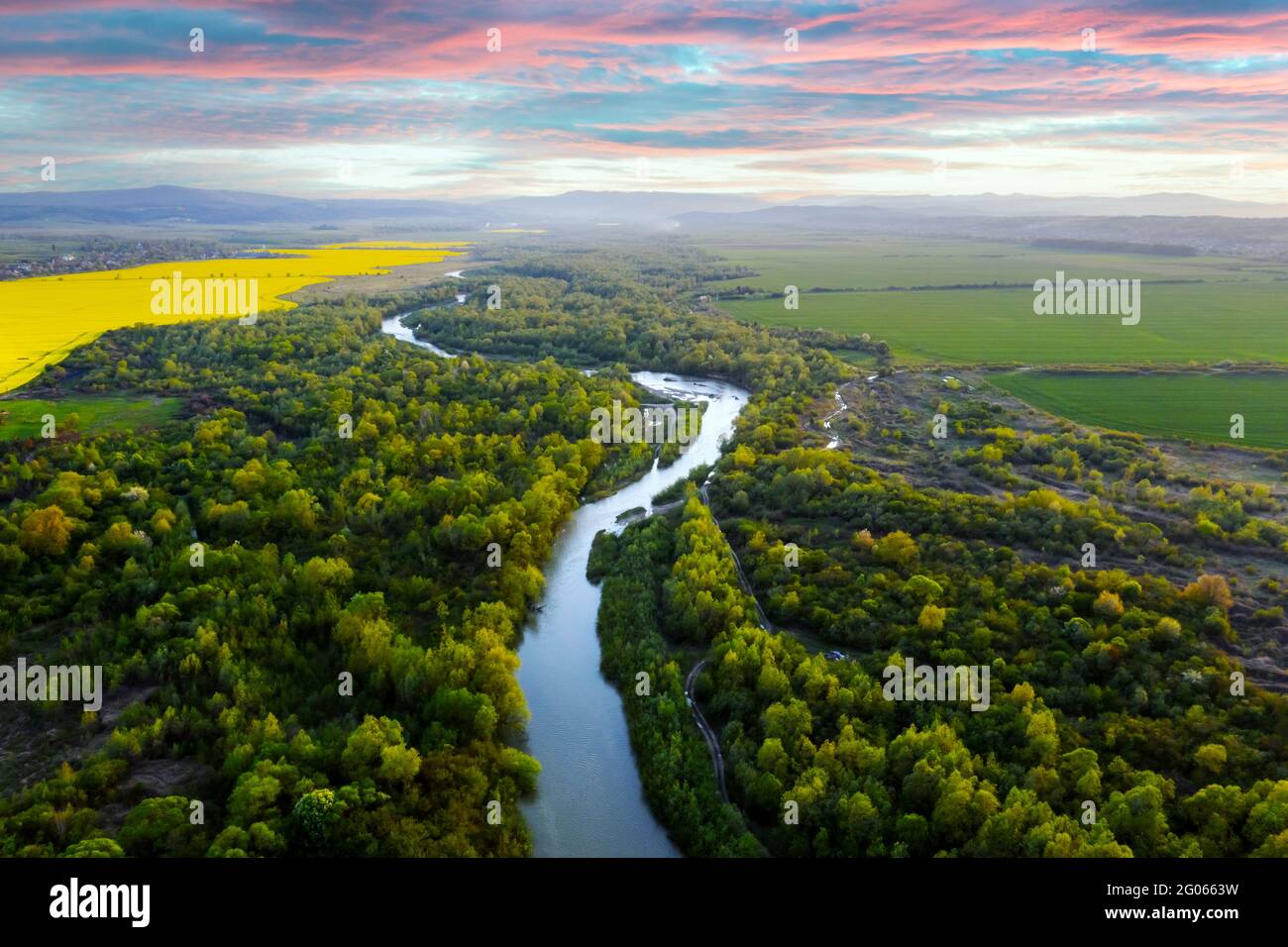 Aerial top view rapeseed field hi-res stock photography and images - Alamy