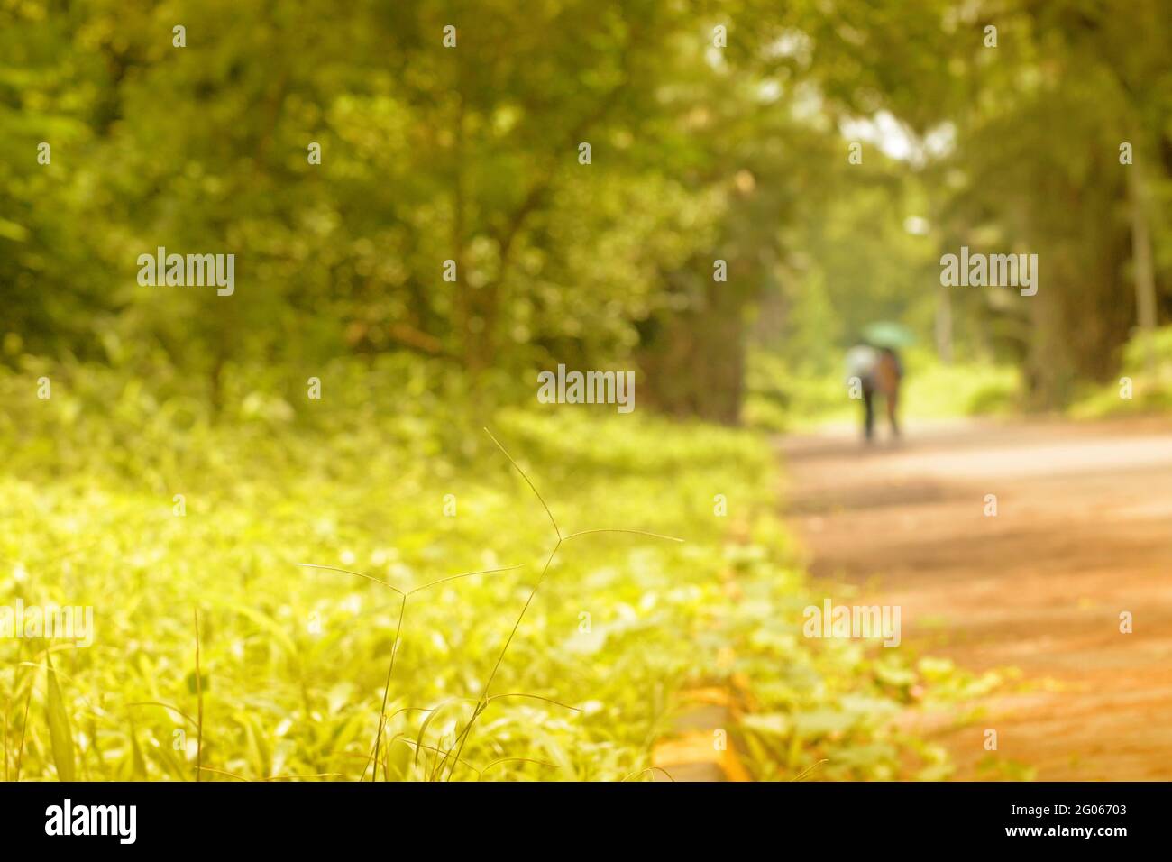 Romantic couple walking and faded away in nature, conceptual stock image, Kolkata, West Bengal, India Stock Photo