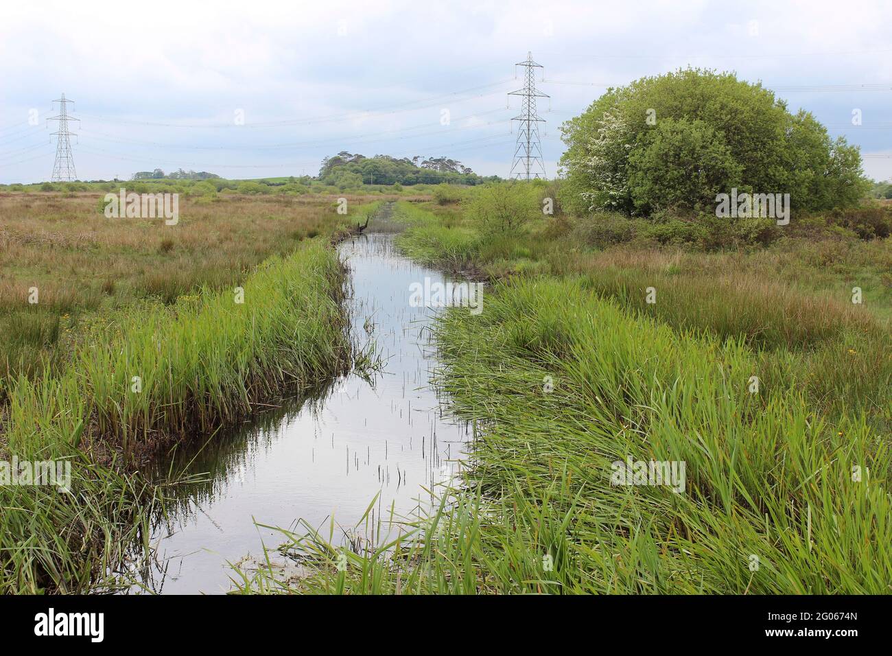Cors Erddreiniog NNR - the largest of Anglesey’s Fens, Wales, UK Stock Photo