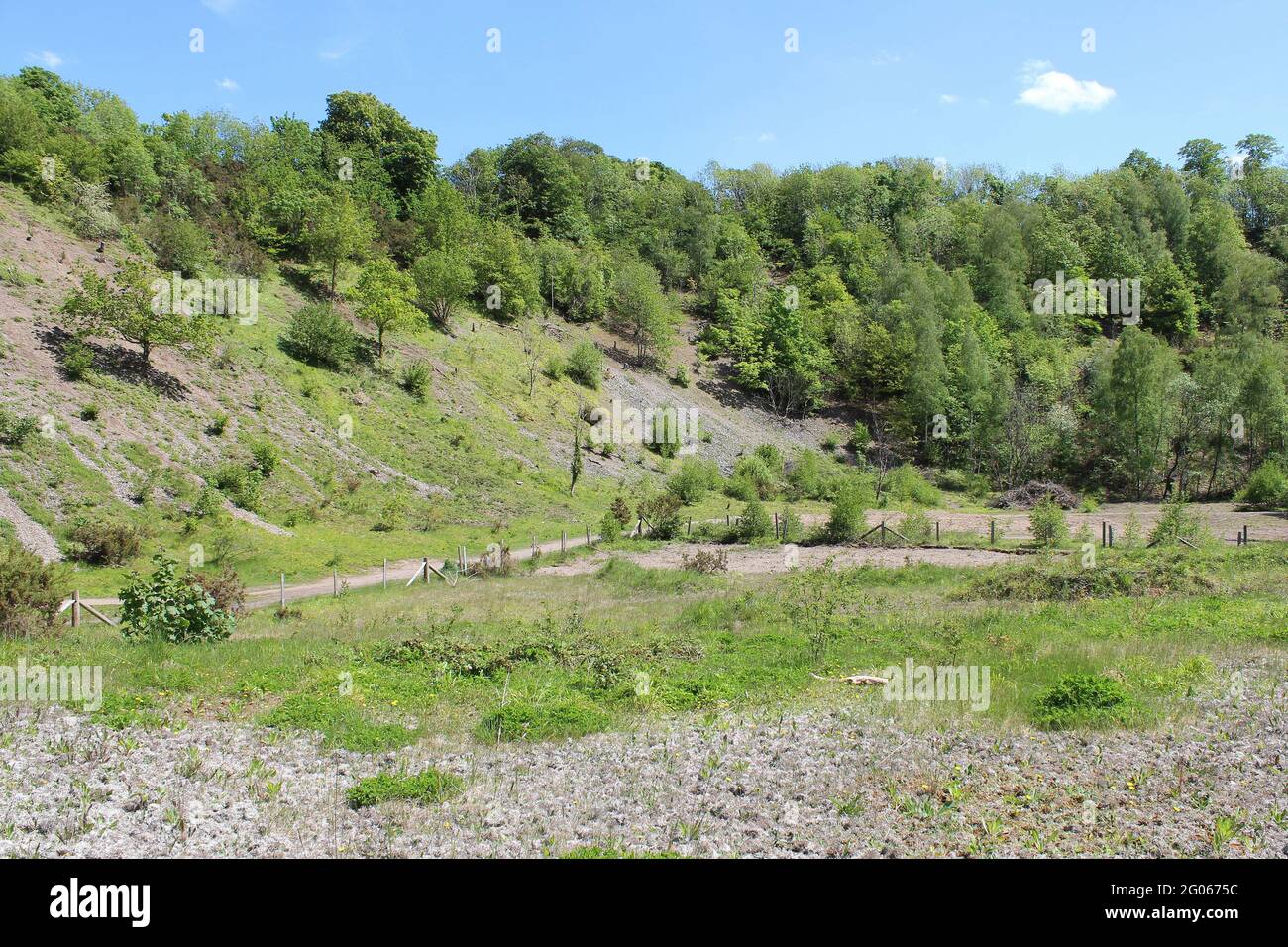 Marford Quarry, a North Wales Wildlife Trust Reserve and SSSI close to Wrexham, Clywd, Wales, UK Stock Photo