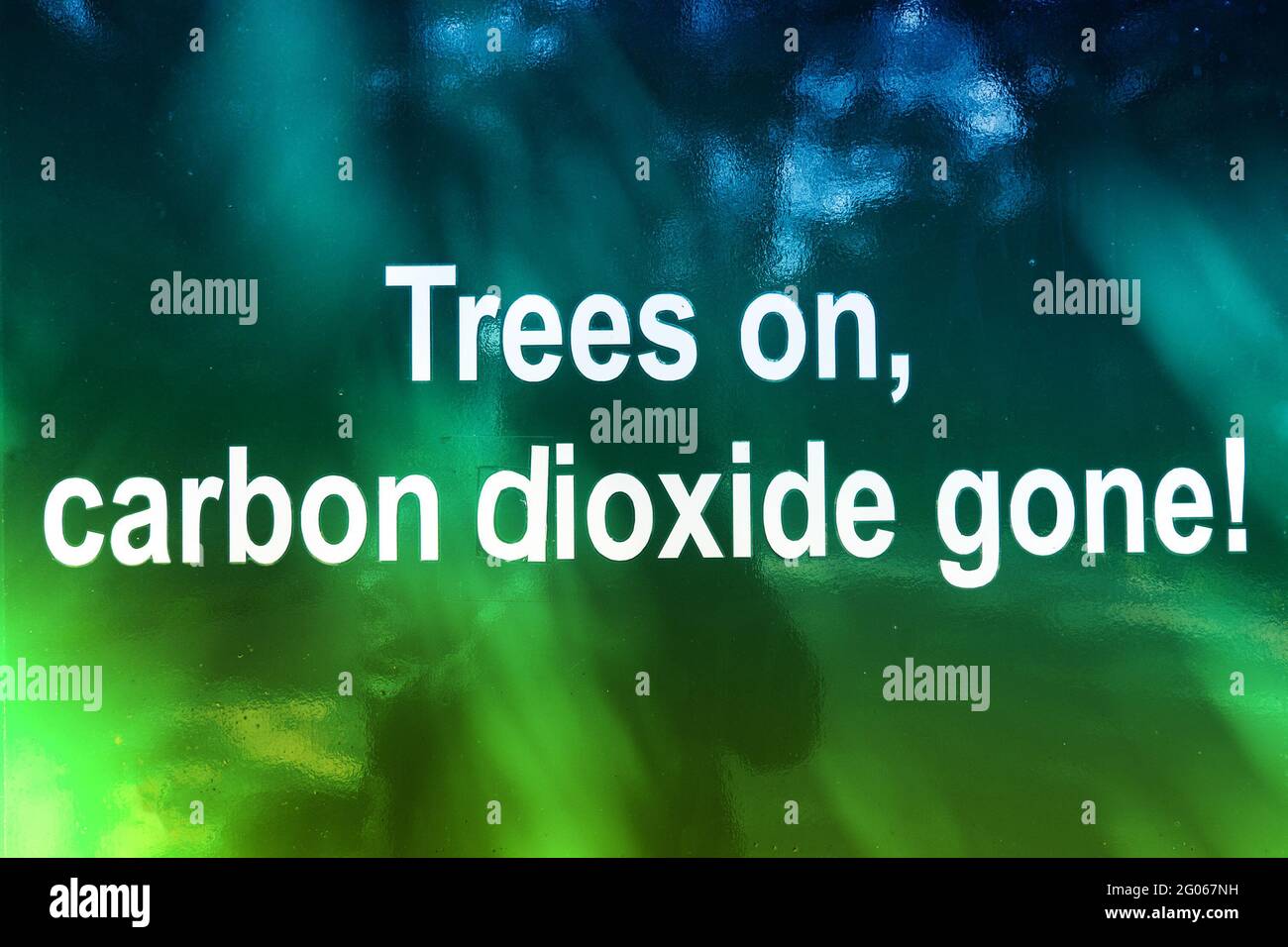 Informative writing about trees, telling the importance of trees which absorb carbon dioxide and generate oxygen which is prime necessity for human. Stock Photo