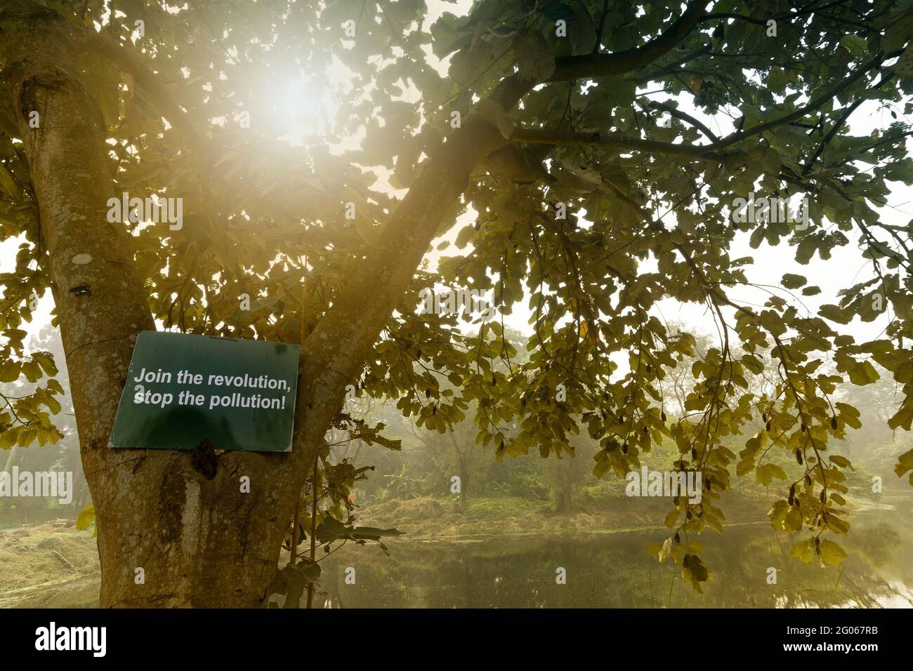 Tree with sun rays from behind with a hoarding requesting all to join the revolution and to stop the pollution. Beautiful winter morning scene of Kolk Stock Photo