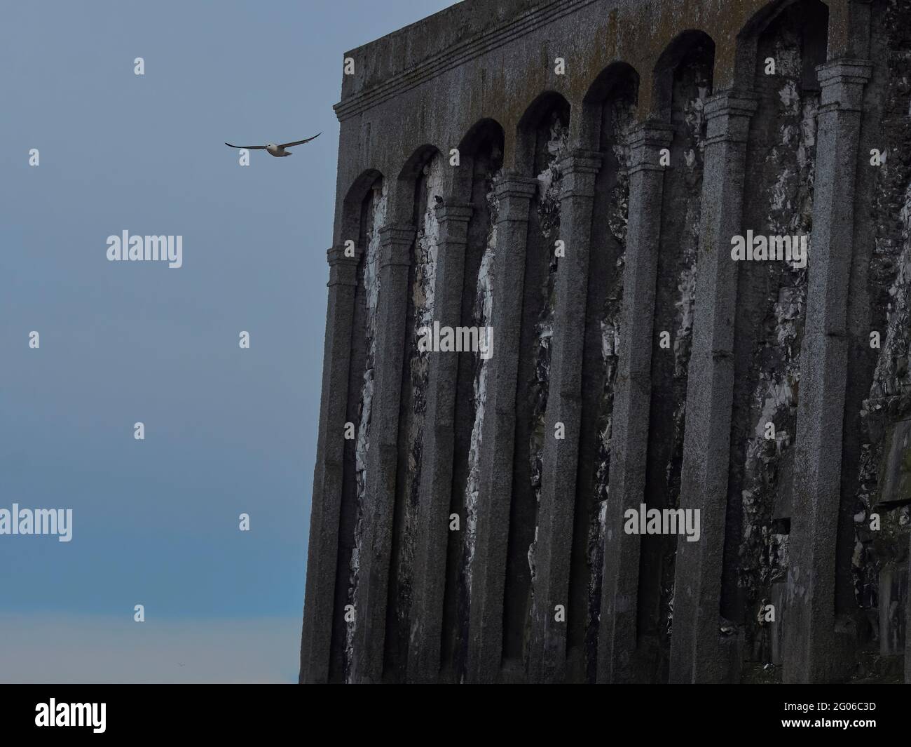 A sunlit gull soars aloft passed some colossal, cyclopean pillars embedded in a chalk cliff with a blue sky behind. Stock Photo