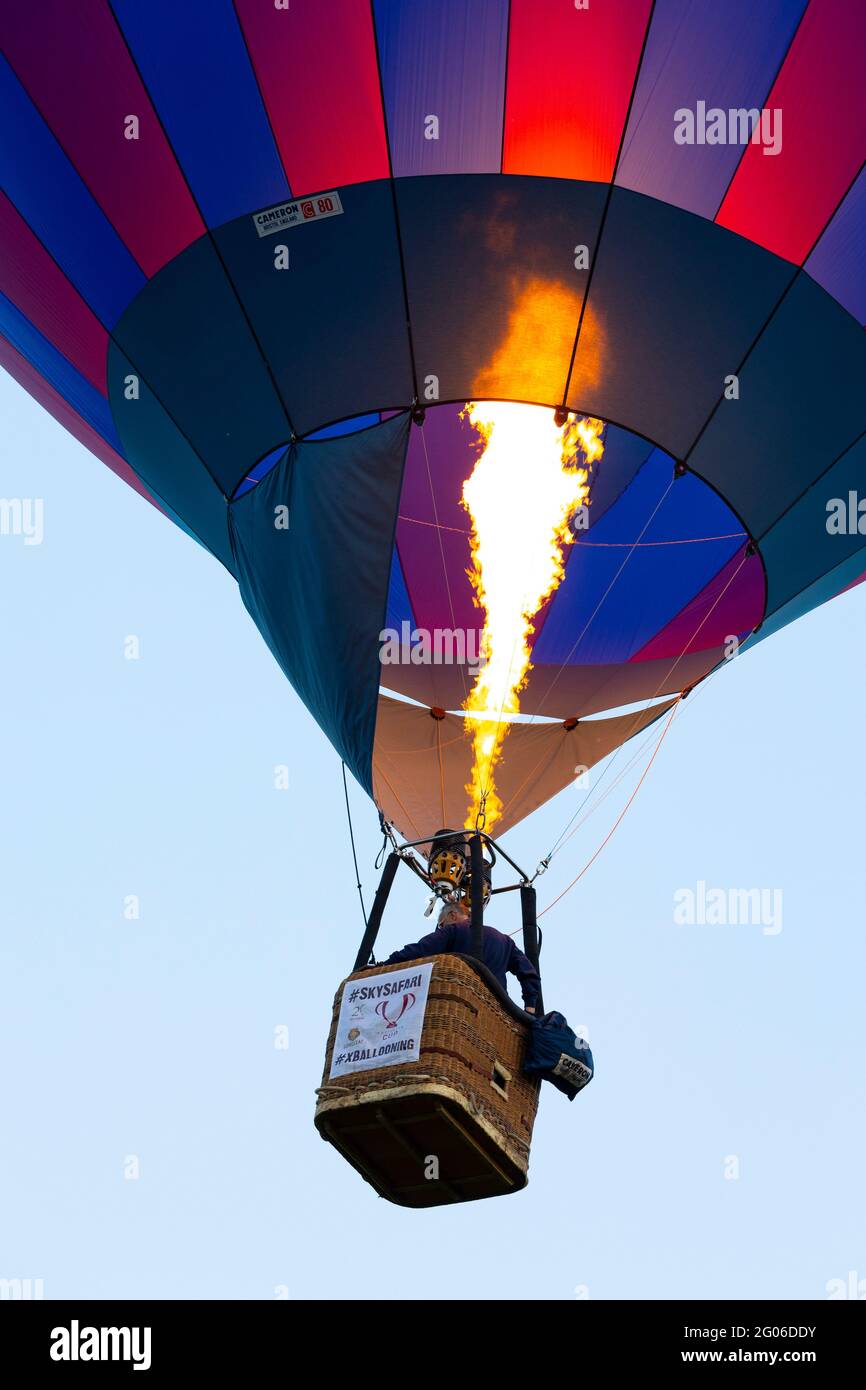 Balloon Festival, Robin Hill, Isle of Wight, England, UK Stock Photo Alamy