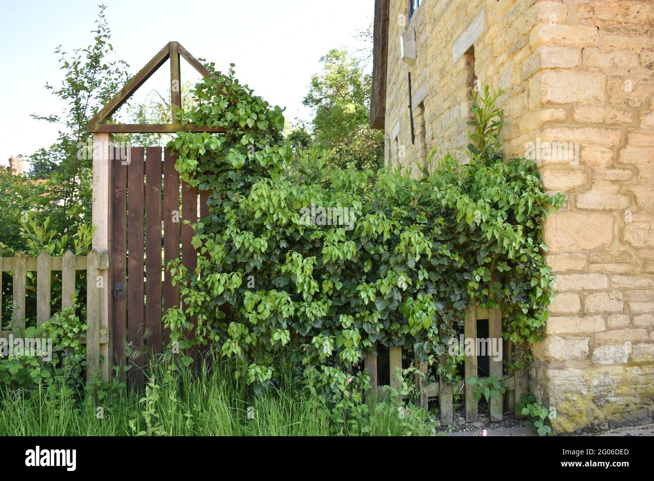 Gate covered in ivy beside stone building at Great Linford Manor Park in Milton Keynes. Stock Photo