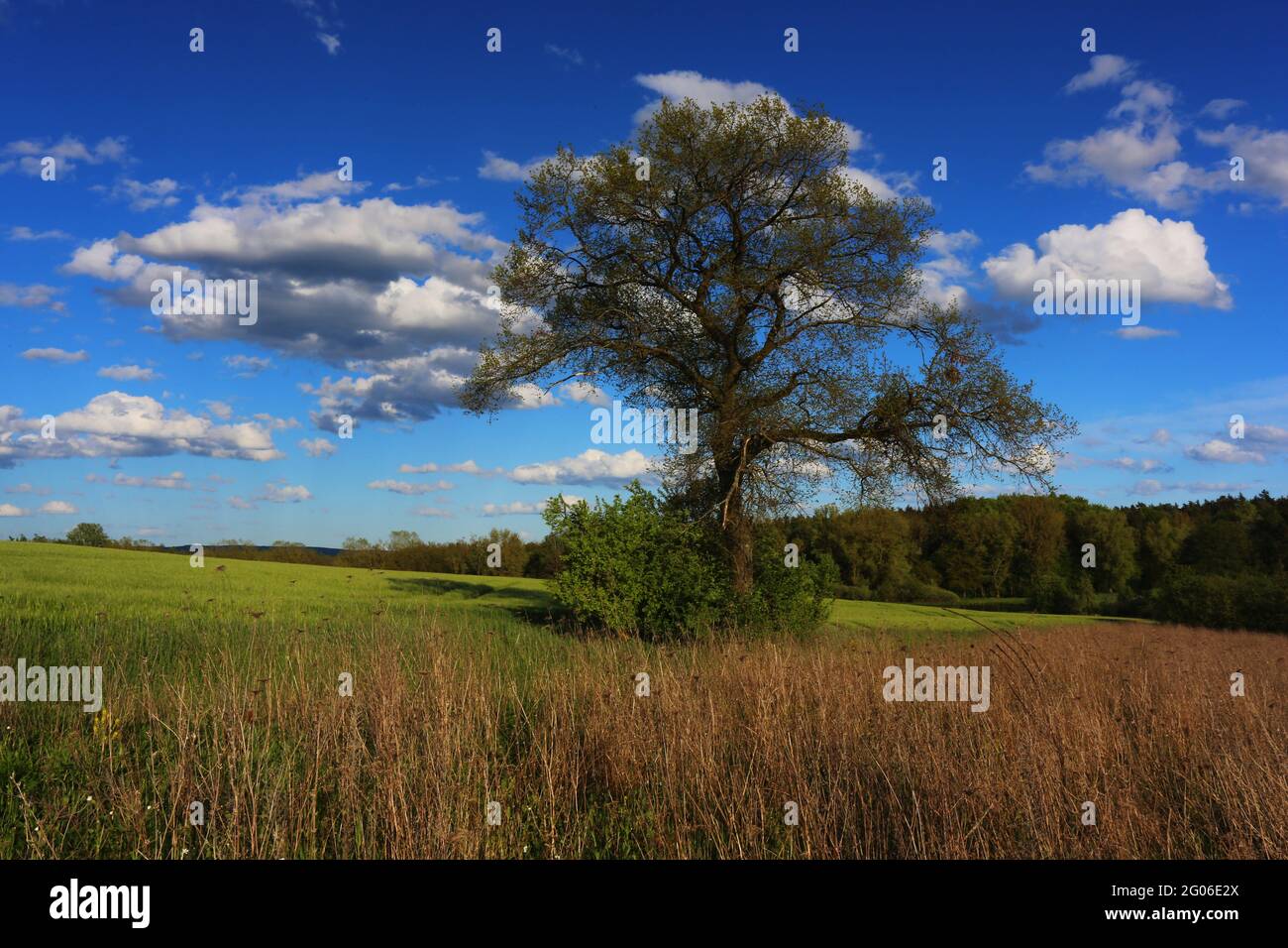 Ein Spaziergang vorbei an Wiesen und Bäumen mit schönen Wolken am Annaberg in Sulzbach Rosenberg bei Amberg Stock Photo