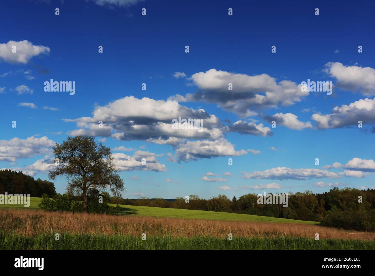 Ein Spaziergang vorbei an Wiesen und Bäumen mit schönen Wolken am Annaberg in Sulzbach Rosenberg bei Amberg Stock Photo