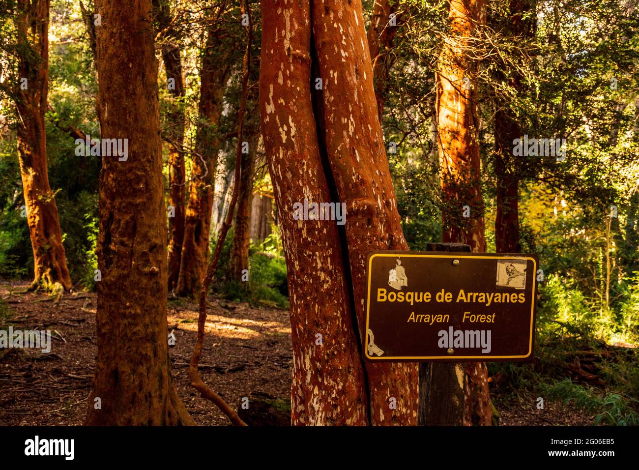 Arrayanes national park hi-res stock photography and images - Alamy