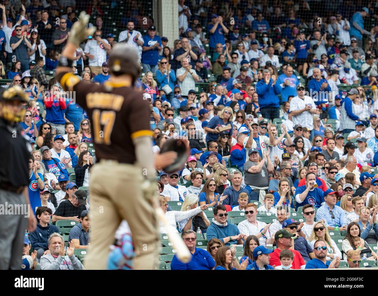 Cubs fans clap for Padres catcher and former Cub Victor Caratini (17 ...