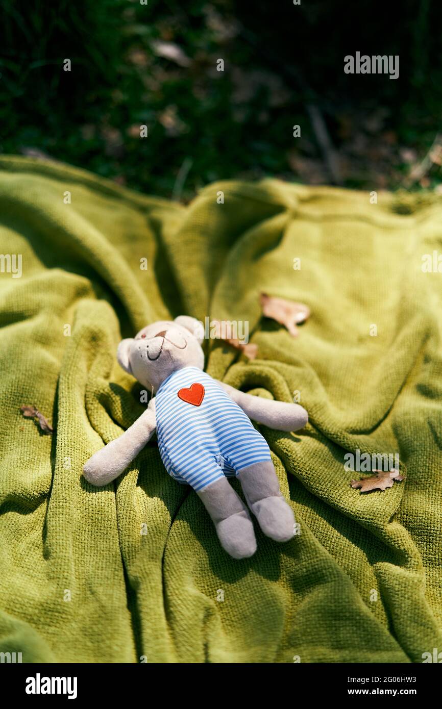 Teddy bear lies on a green bedspread on the lawn. Top view Stock Photo ...