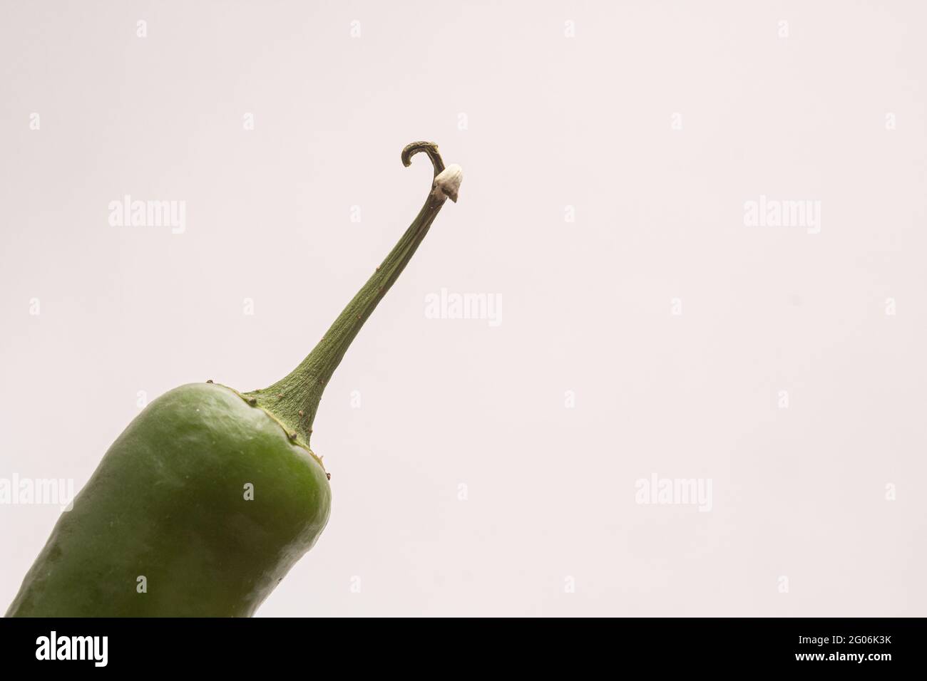 Green hot peppers on a white background Stock Photo - Alamy