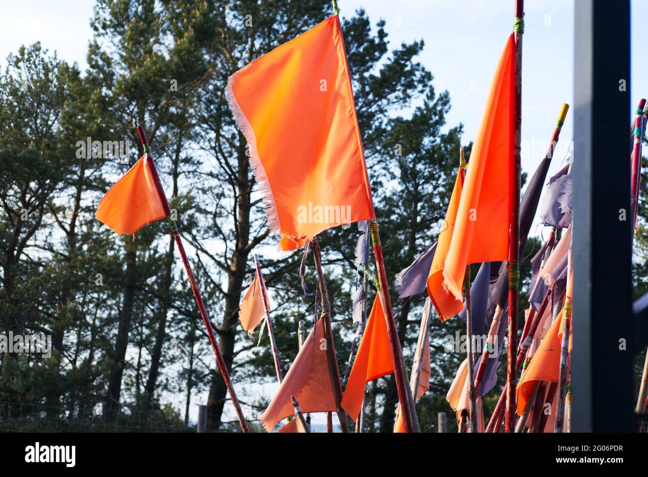 orange fishing flags against trees in a harbor, Stock Photo