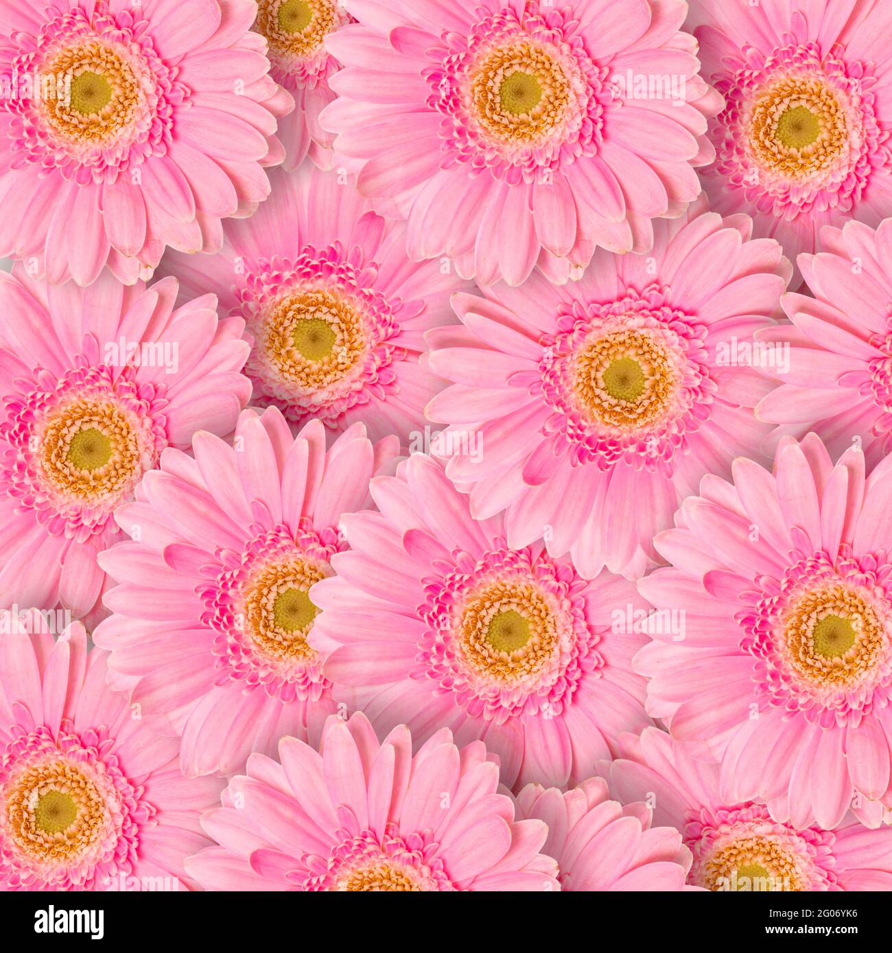 Pink flowers pattern hi-res stock photography and images - Alamy