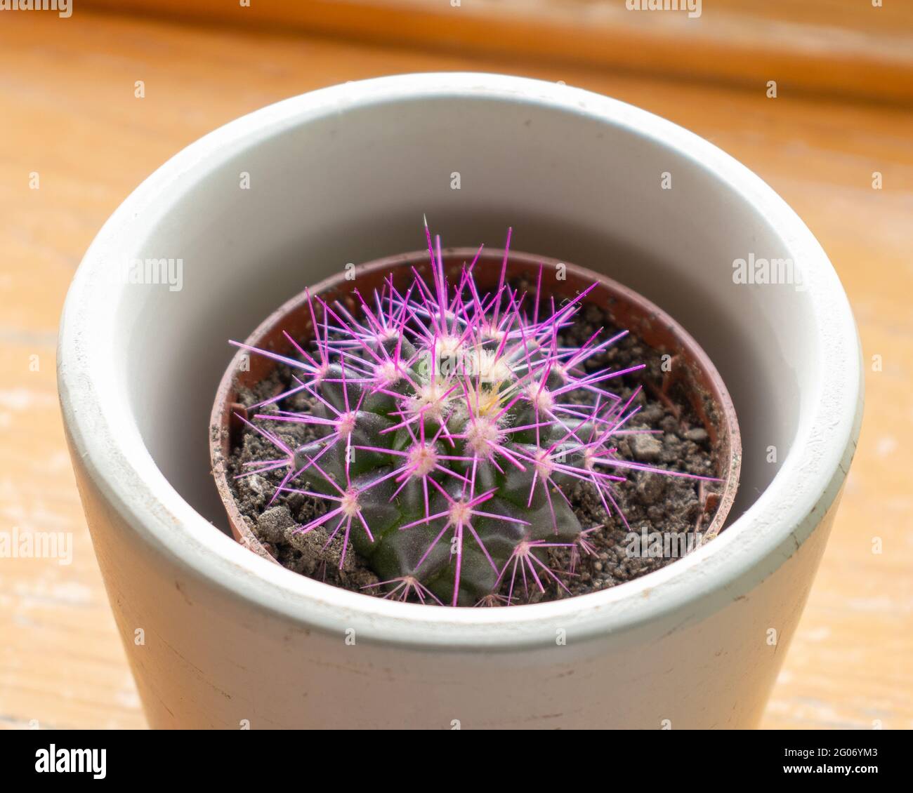 Young Stretch Routine Home bright windows young hi-res stock photography and images - Alamy