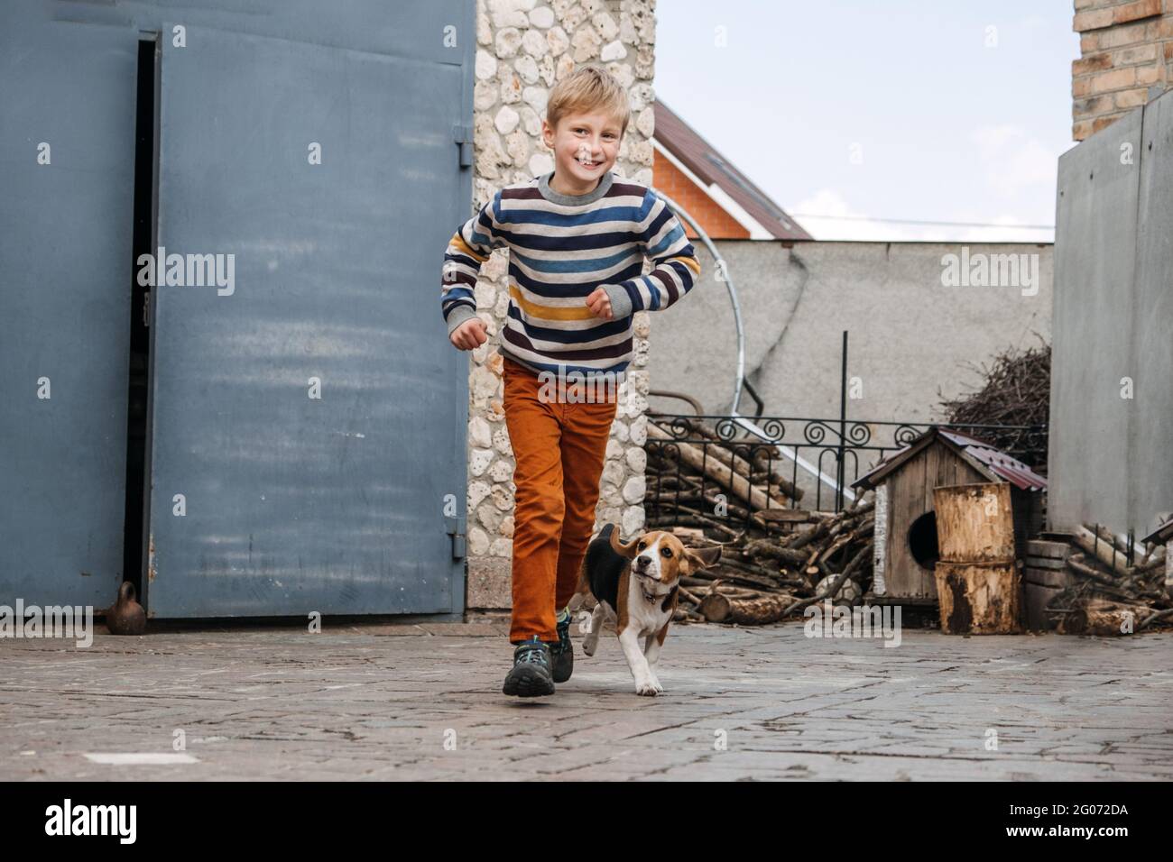 Outdoor Activities For Beagles. Games to play with beagle puppies. How to Entertain puppy and