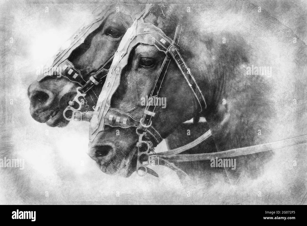 Horses, Roman chariot in a fight of gladiators, bloody circus black and white drawing Stock Photo