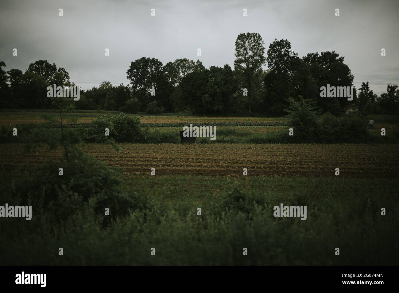 Field with trees near it and a cloudy dark sky Stock Photo - Alamy