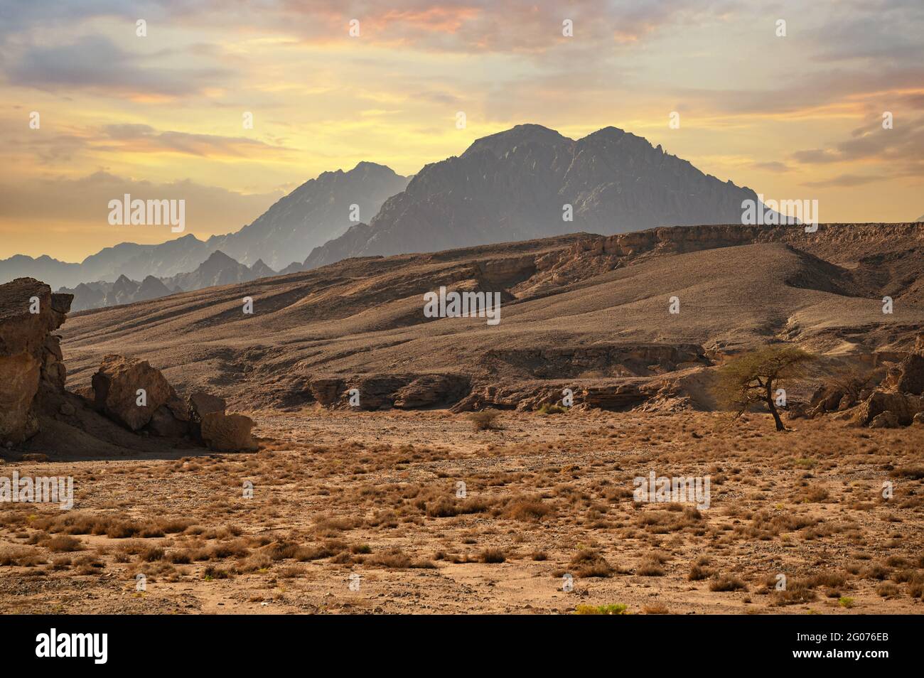 sinai mountains. mountains Sharm el Sheikh at the southern tip of the Sinai Peninsula. Desert with mountains. Sinai, Egypt. Morning In Desert Sinai. V Stock Photo