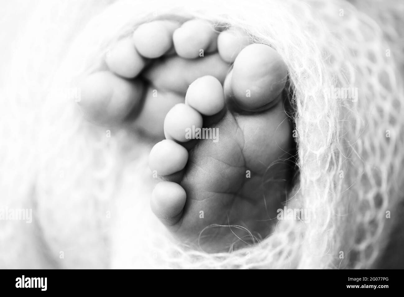 Photo of the legs of a newborn. Baby feet covered with wool isolated