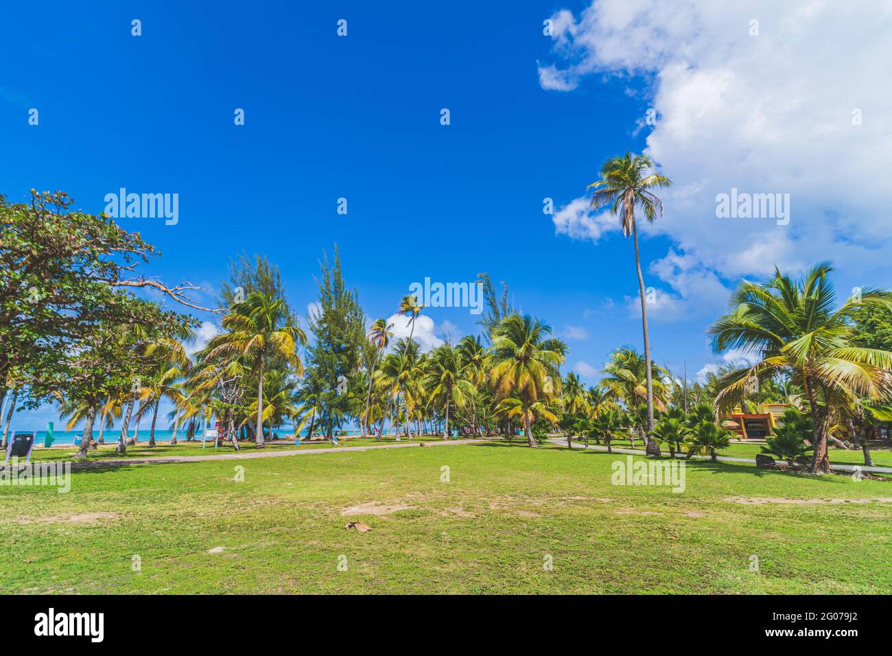 Green grass and Palm trees line the edge of Luquillo Beach park, Puerto Rico Stock Photo