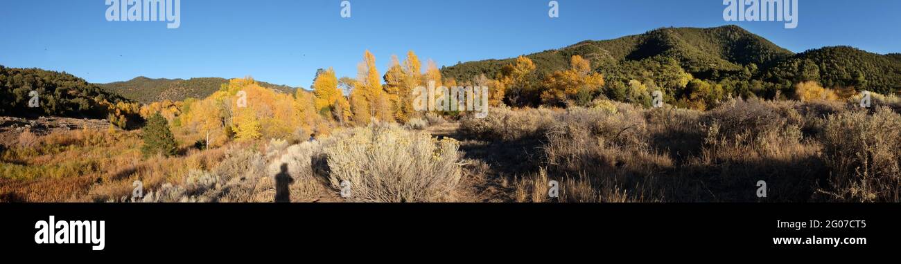 Autumn foliage in the Santa Fe Canyon Preserve, Santa Fe, New Mexico, USA Stock Photo