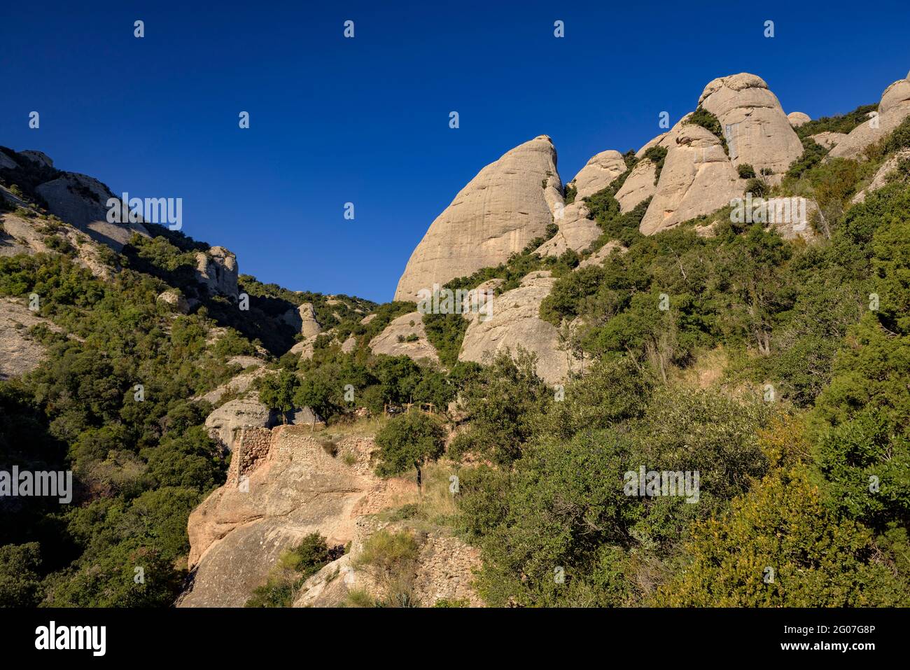 La Panxa Del Bisbe Barcelona Hi res Stock Photography And Images Alamy la-panxa-del-bisbe-barcelona-hi-res-stock-photography-and-images-alamy