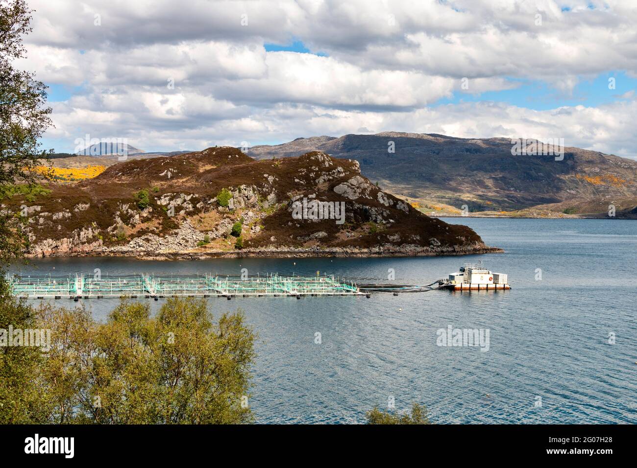 SALMON FISH REARING CAGES MOORED IN LOCH A CHAIRN BHAIN NEAR TO KYLESKU  SCOTLAND Stock Photo