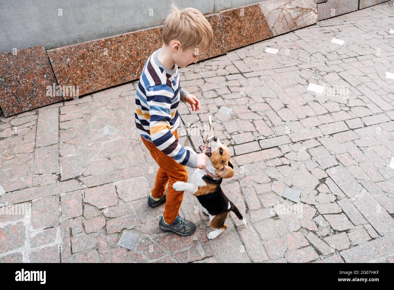 Outdoor Activities For Beagles. Games to play with beagle puppies. How to Entertain puppy and