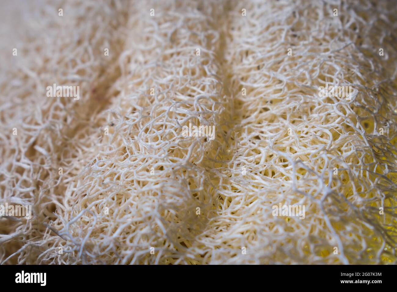 Macro of natural white sponge texture on a black wooden table. Stock Photo