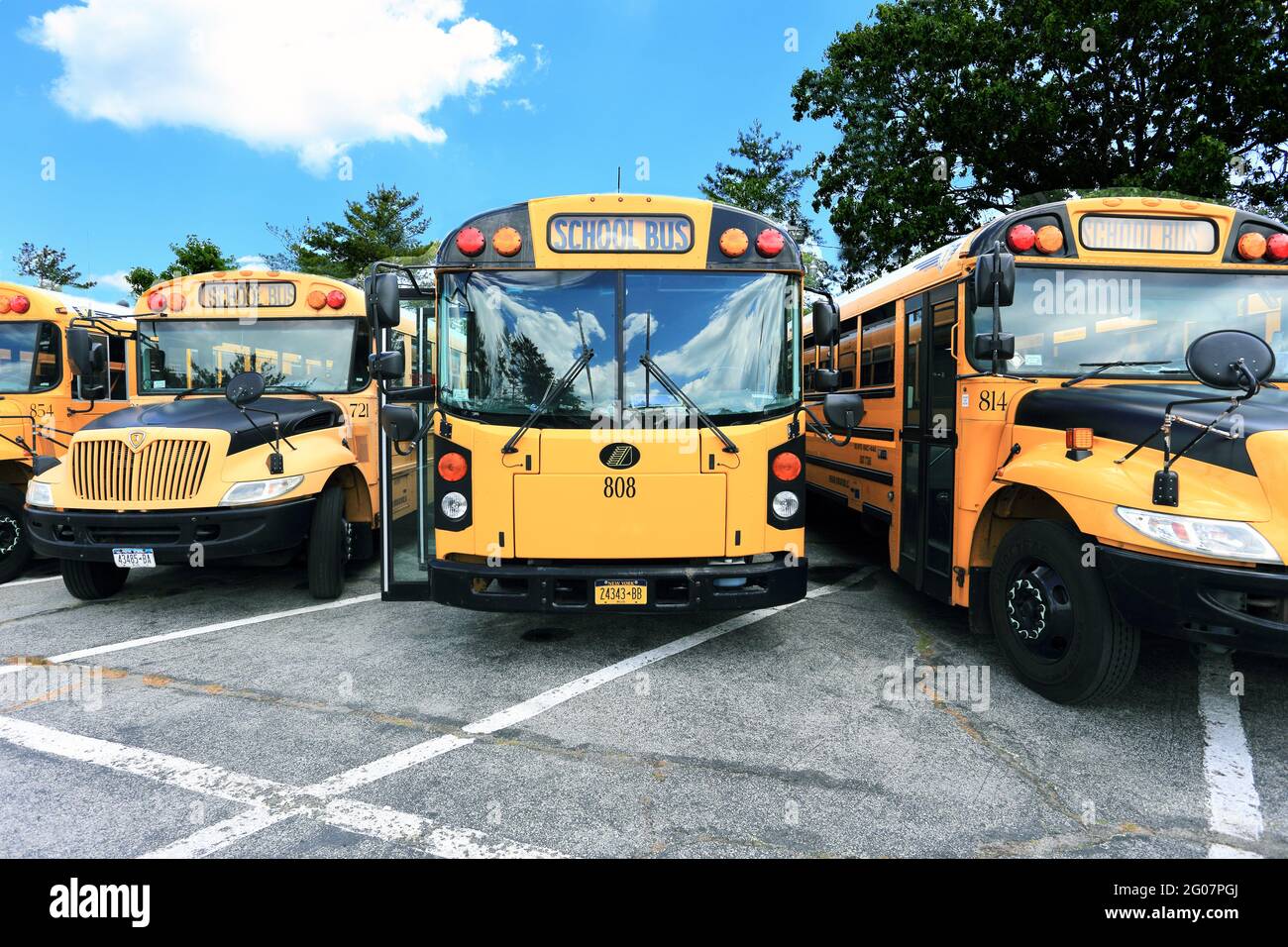 School buses Long Island New York Stock Photo Alamy
